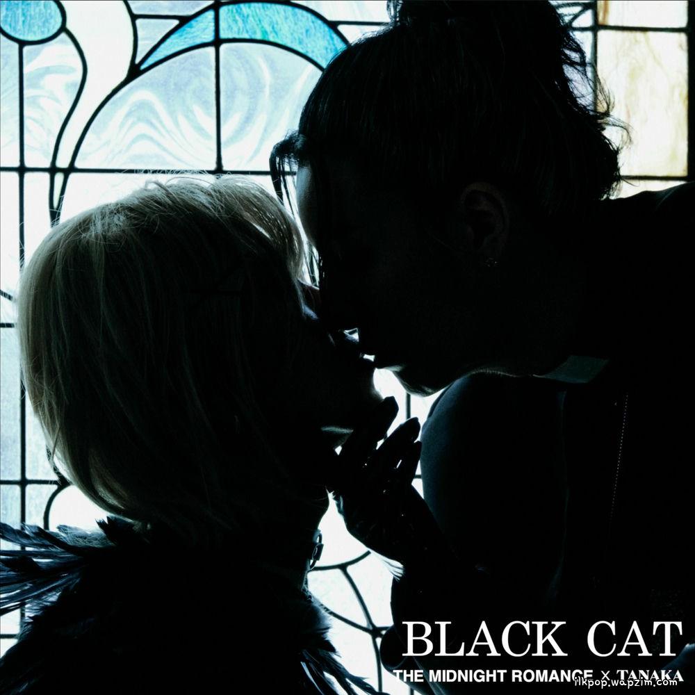 The Midnight Romance - 검은 고양이 (BLACK CAT) (feat. TANAKA) cover art on Wallkpop