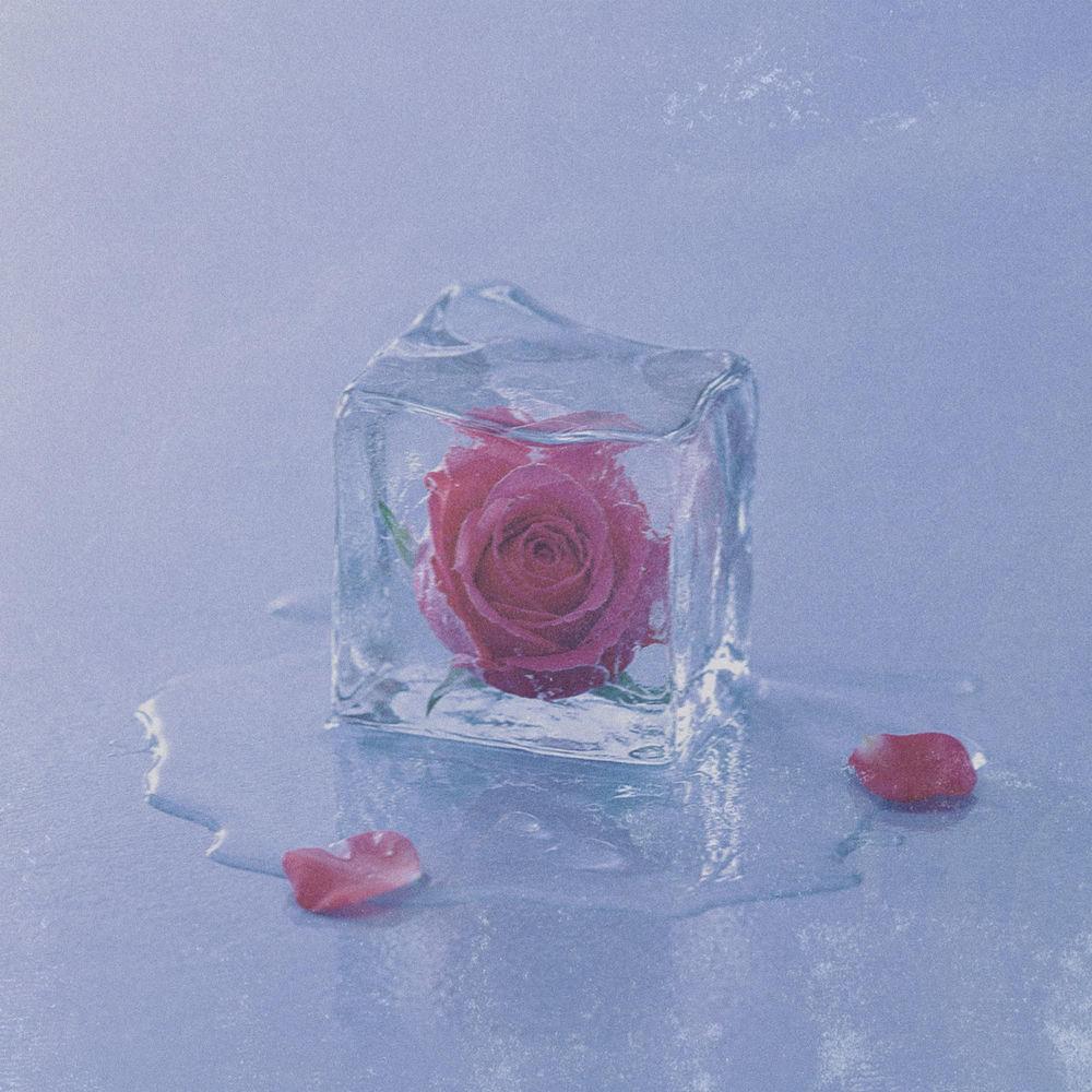 The Stray - 애증 (love and hatred) cover art on Wallkpop