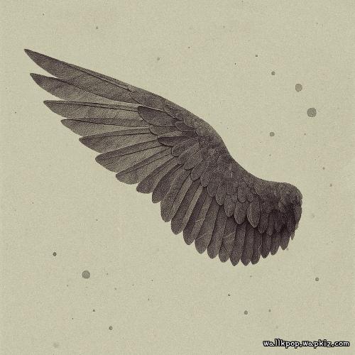 The Stray - 날개 (wing) cover art on Wallkpop