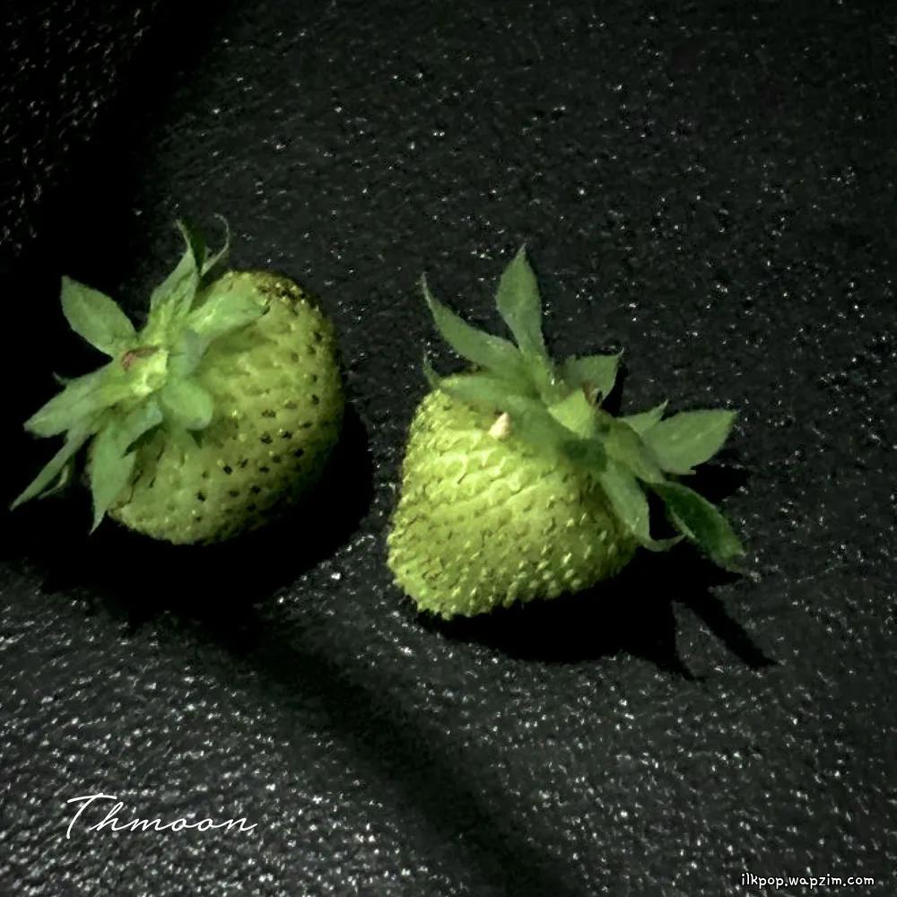 Thmoon - outro cover art on Wallkpop