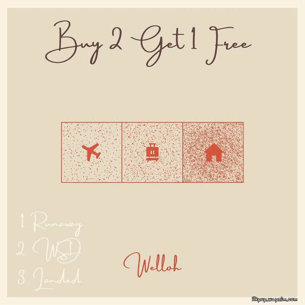 Welloh - LANDED cover art on Wallkpop