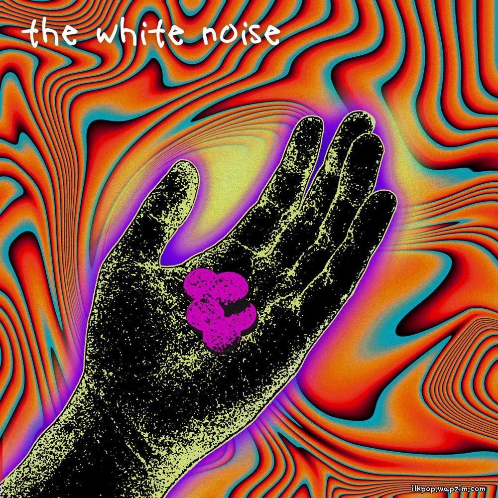 White Noise - xanny cover art on Wallkpop