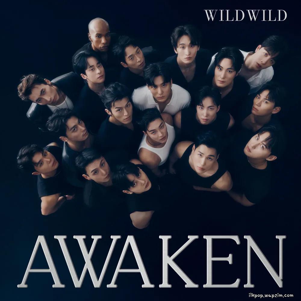 WILD WILD - AWAKEN cover art on Wallkpop