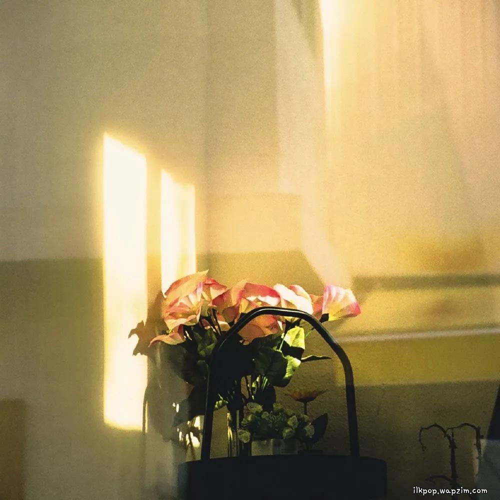 won jong hyeok - 온기 (Warmth) cover art on Wallkpop