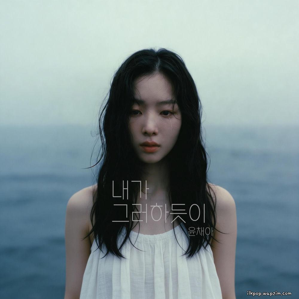 YOON CHAE AH - 내가 그러하듯이 (just like i do) cover art on Wallkpop
